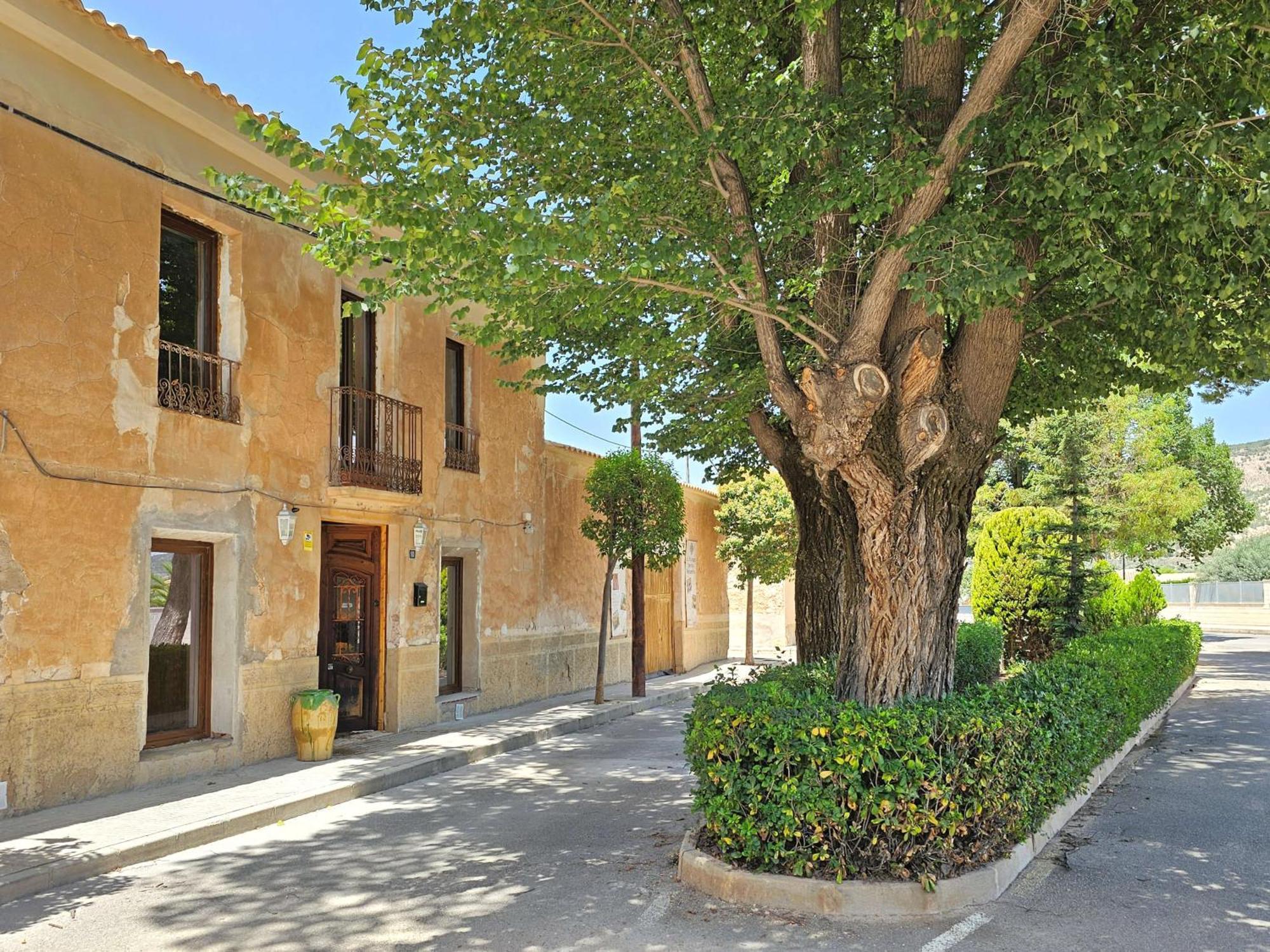 Casa Rodriguillo Bed & Breakfast Pinoso Екстериор снимка